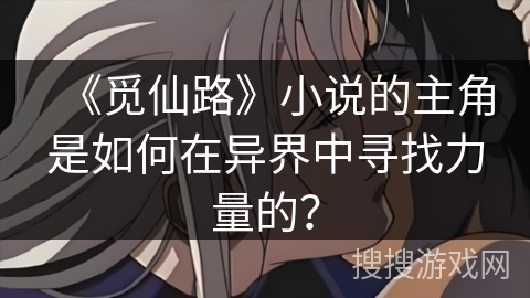 《觅仙路》小说的主角是如何在异界中寻找力量的？