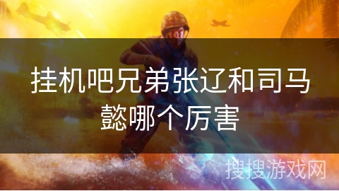 挂机吧兄弟张辽和司马懿哪个厉害