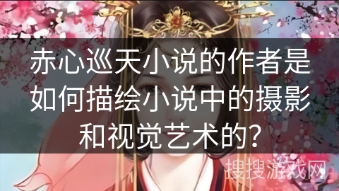 赤心巡天小说的作者是如何描绘小说中的摄影和视觉艺术的？