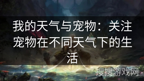 我的天气与宠物：关注宠物在不同天气下的生活