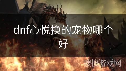dnf心悦换的宠物哪个好