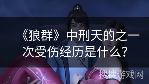 《狼群》中刑天的之一次受伤经历是什么？