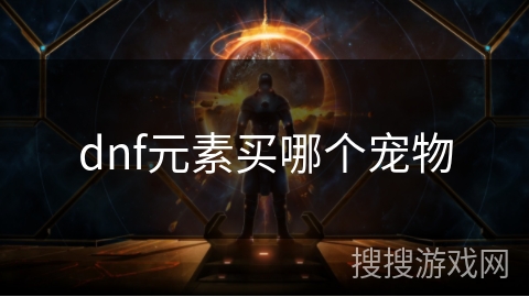 dnf元素买哪个宠物