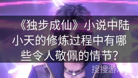 《独步成仙》小说中陆小天的修炼过程中有哪些令人敬佩的情节？
