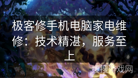 极客修手机电脑家电维修：技术精湛，服务至上