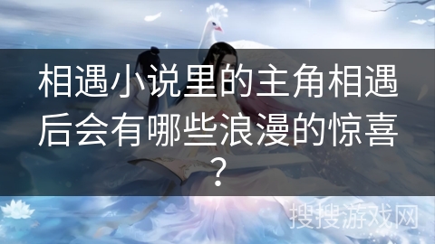 相遇小说里的主角相遇后会有哪些浪漫的惊喜？