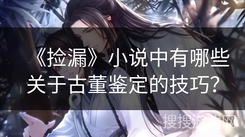 《捡漏》小说中有哪些关于古董鉴定的技巧？