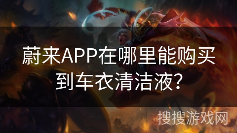 蔚来APP在哪里能购买到车衣清洁液？