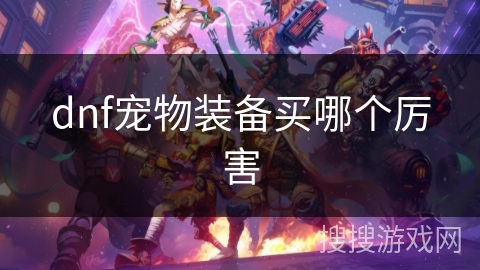 dnf宠物装备买哪个厉害