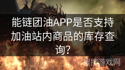 能链团油APP是否支持加油站内商品的库存查询？