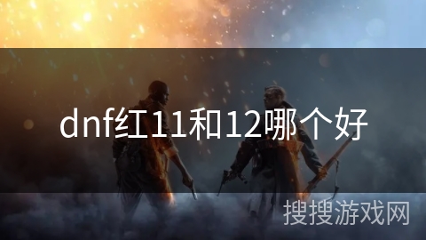 dnf红11和12哪个好