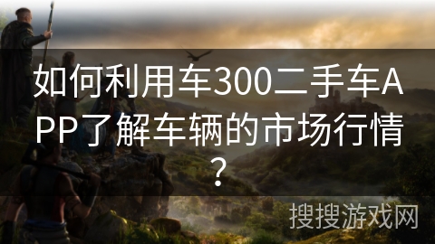 如何利用车300二手车APP了解车辆的市场行情？