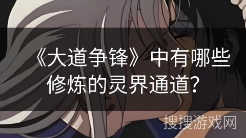 《大道争锋》中有哪些修炼的灵界通道？