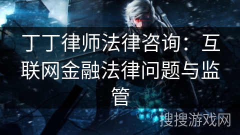 丁丁律师法律咨询：互联网金融法律问题与监管