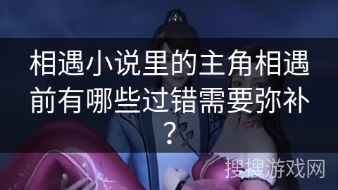 相遇小说里的主角相遇前有哪些过错需要弥补？