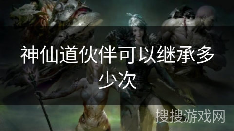 神仙道伙伴可以继承多少次