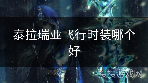 泰拉瑞亚飞行时装哪个好
