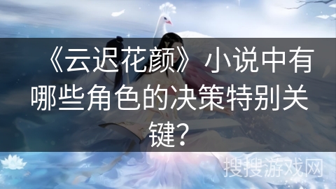 《云迟花颜》小说中有哪些角色的决策特别关键？