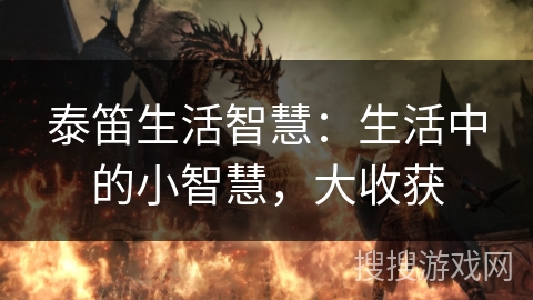 泰笛生活智慧：生活中的小智慧，大收获