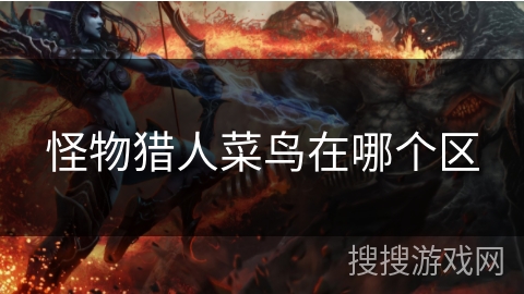 怪物猎人菜鸟在哪个区