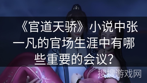 《官道天骄》小说中张一凡的官场生涯中有哪些重要的会议？