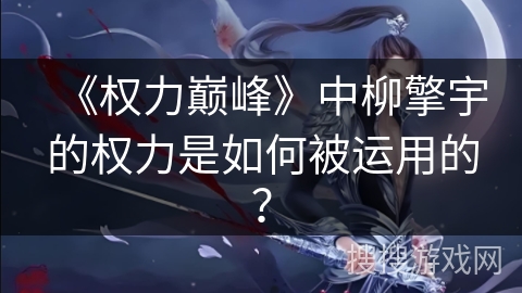 《权力巅峰》中柳擎宇的权力是如何被运用的？