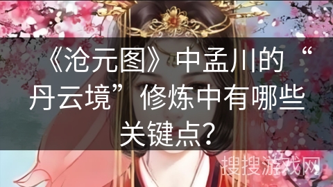 《沧元图》中孟川的“丹云境”修炼中有哪些关键点？