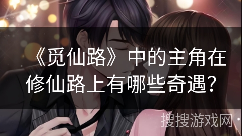 《觅仙路》中的主角在修仙路上有哪些奇遇？