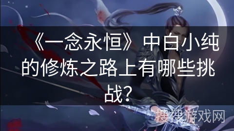 《一念永恒》中白小纯的修炼之路上有哪些挑战？