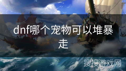 dnf哪个宠物可以堆暴走
