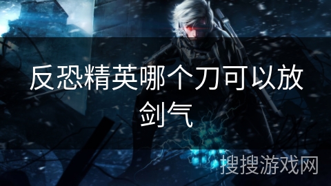 反恐精英哪个刀可以放剑气
