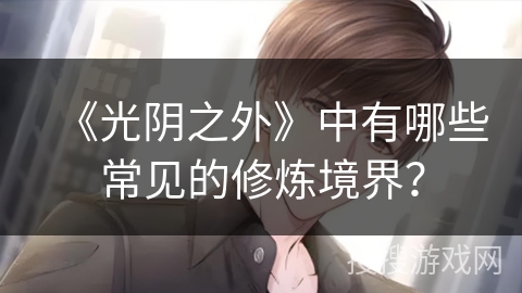 《光阴之外》中有哪些常见的修炼境界？