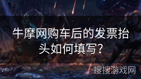牛摩网购车后的发票抬头如何填写？