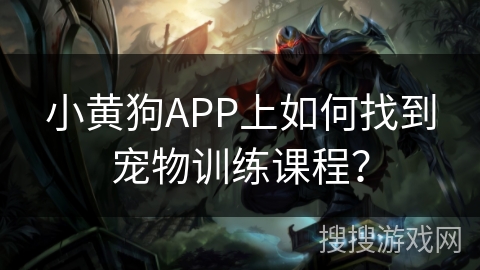 小黄狗APP上如何找到宠物训练课程？