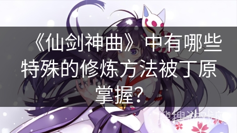 《仙剑神曲》中有哪些特殊的修炼方法被丁原掌握？