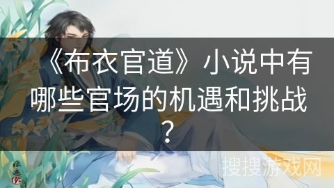 《布衣官道》小说中有哪些官场的机遇和挑战？