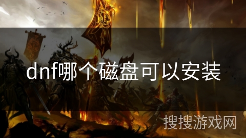 dnf哪个磁盘可以安装