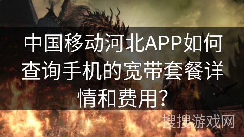 中国移动河北APP如何查询手机的宽带套餐详情和费用？