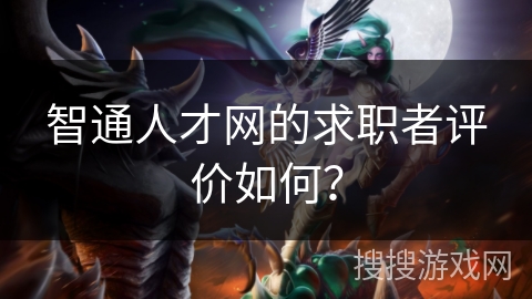 智通人才网的求职者评价如何？