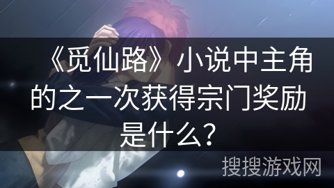 《觅仙路》小说中主角的之一次获得宗门奖励是什么？