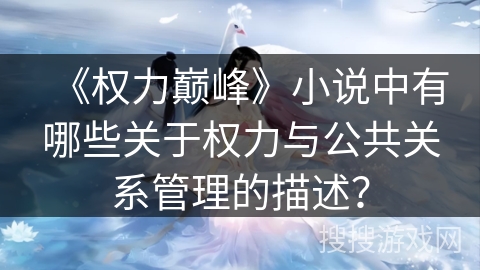 《权力巅峰》小说中有哪些关于权力与公共关系管理的描述？