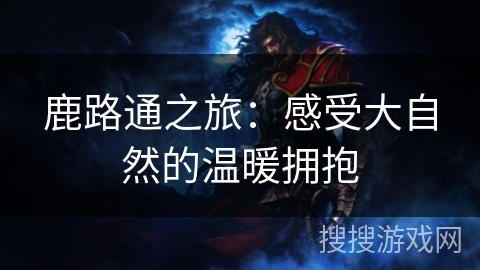 鹿路通之旅：感受大自然的温暖拥抱