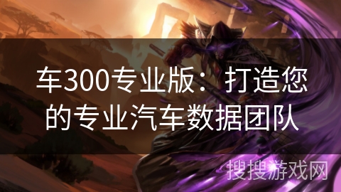 车300专业版：打造您的专业汽车数据团队