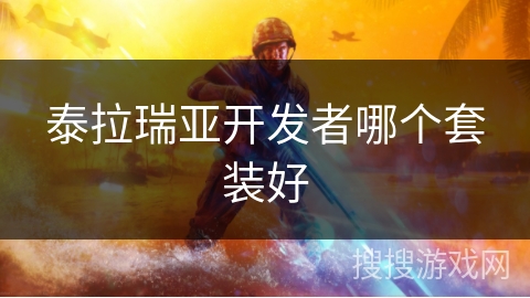 泰拉瑞亚开发者哪个套装好