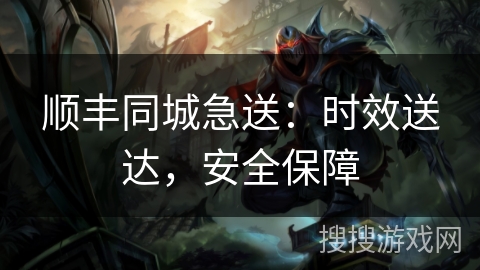 顺丰同城急送：时效送达，安全保障