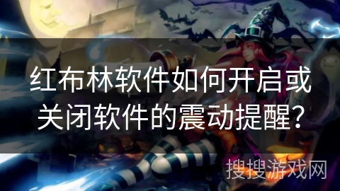 红布林软件如何开启或关闭软件的震动提醒？