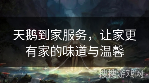 天鹅到家服务，让家更有家的味道与温馨