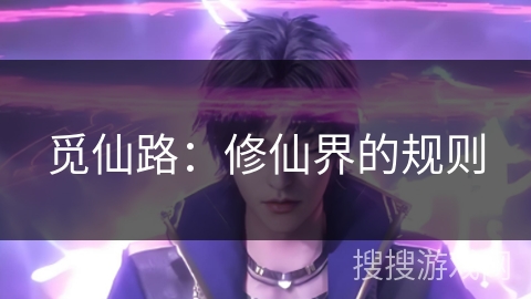 觅仙路：修仙界的规则