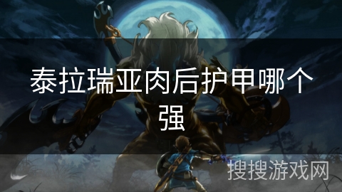 泰拉瑞亚肉后护甲哪个强