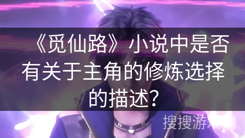 《觅仙路》小说中是否有关于主角的修炼选择的描述？